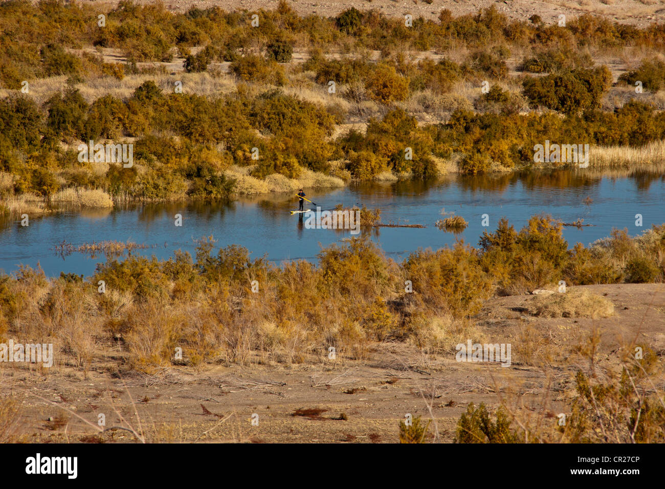 Paddle boarding on Lake Mead, Las Vegas, USA Stock Photo Alamy