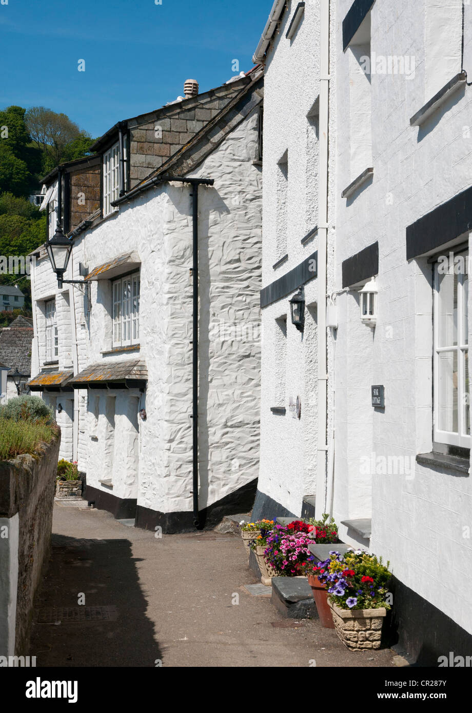 Whitewashed cottages in narrow street of fishing village of Polperro, Cornwall, UK Stock Photo