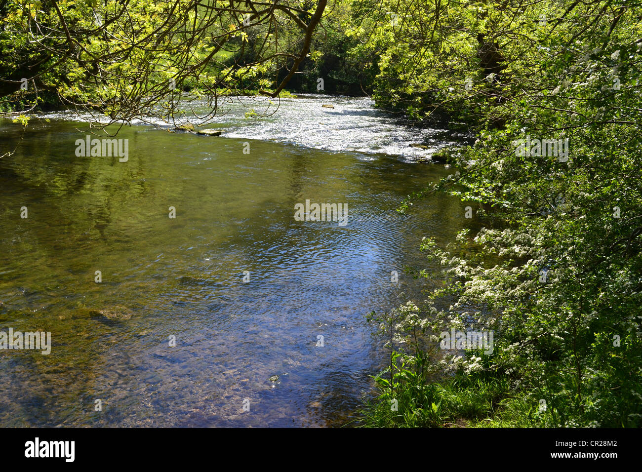 River, Monsal Dales. Stock Photo