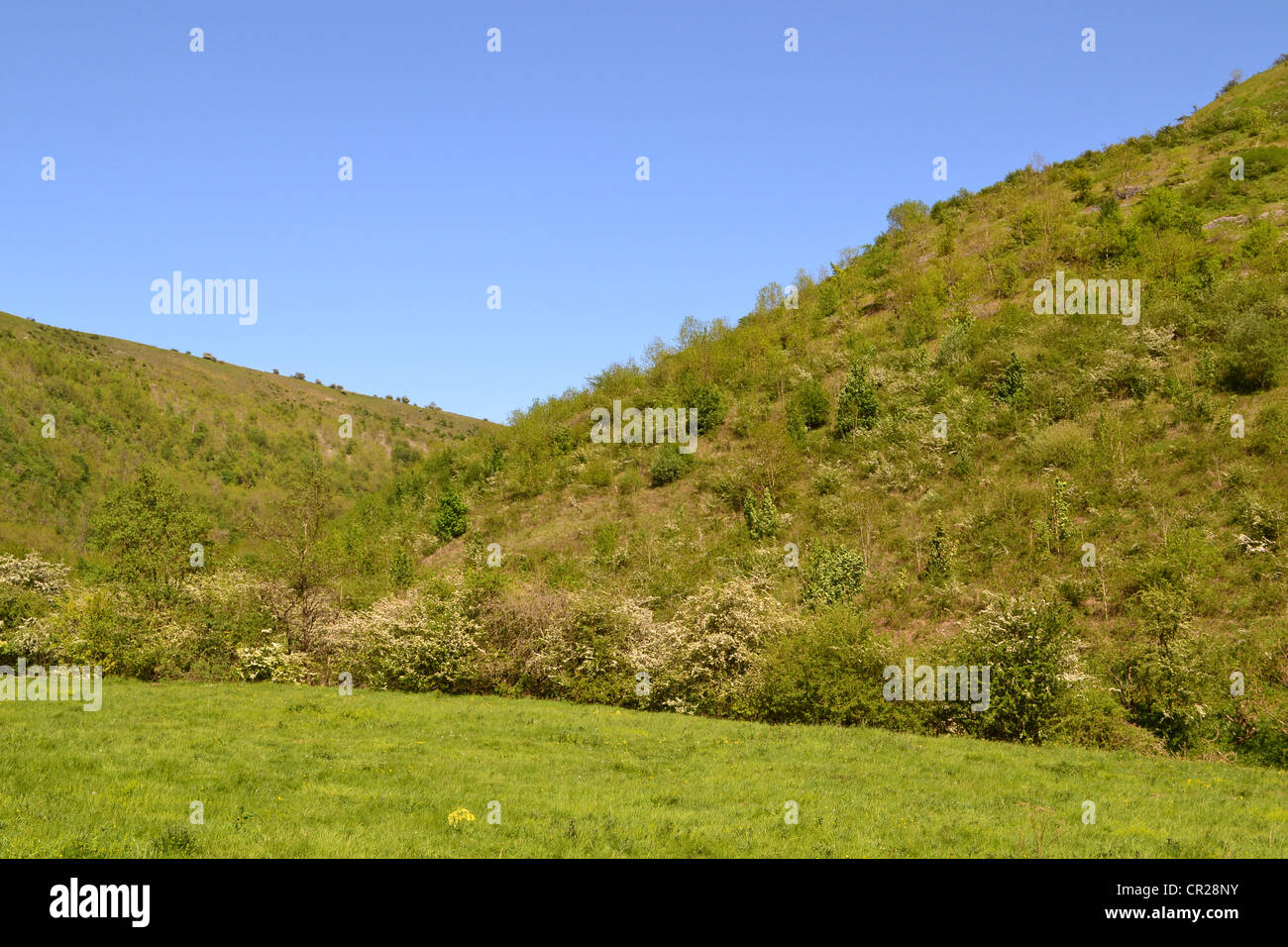 Grassland Hills. Stock Photo