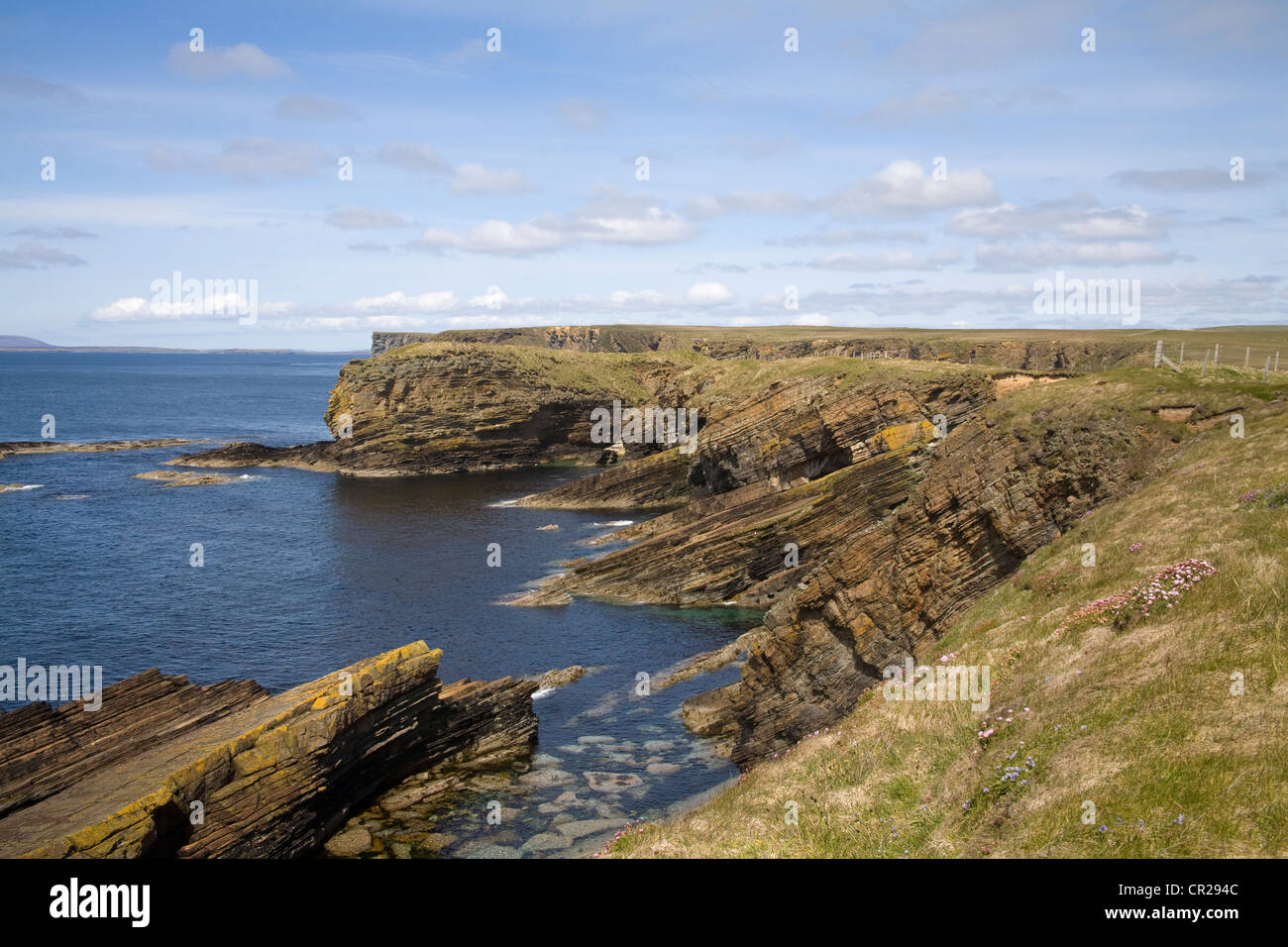 South Ronaldsay Orkney Islands East Mainland May View of craggy cliffs at Burwick Stock Photo