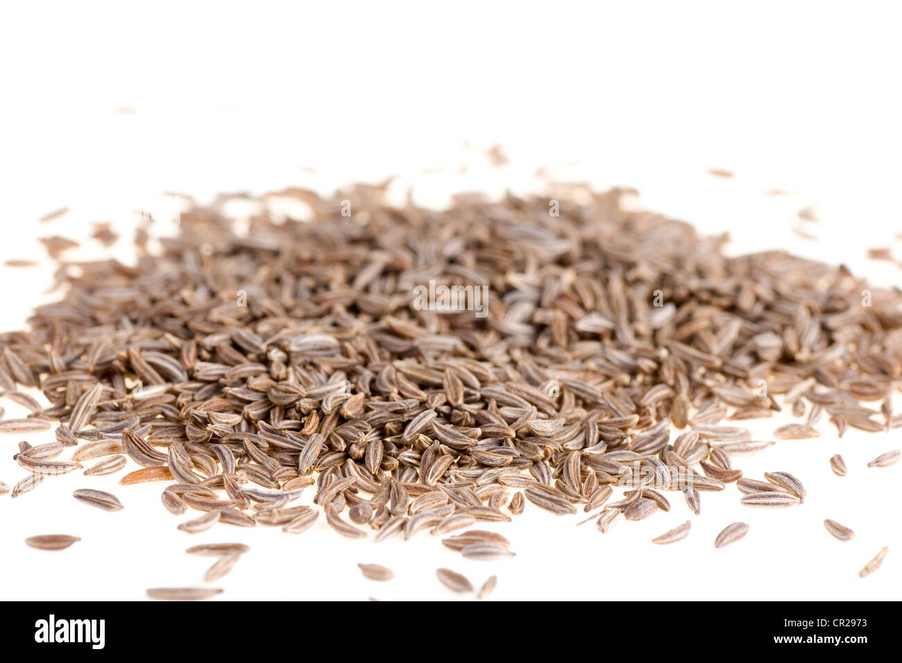 Fresh cumin isolated on white background close up Stock Photo - Alamy