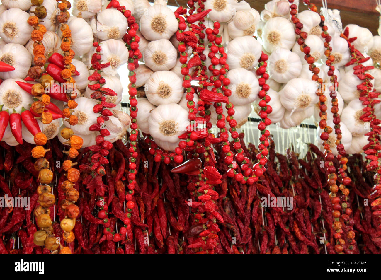 Hanging garlic and chillis in the Funchal market, Madeira (Mercado Dos Lavradores) Stock Photo