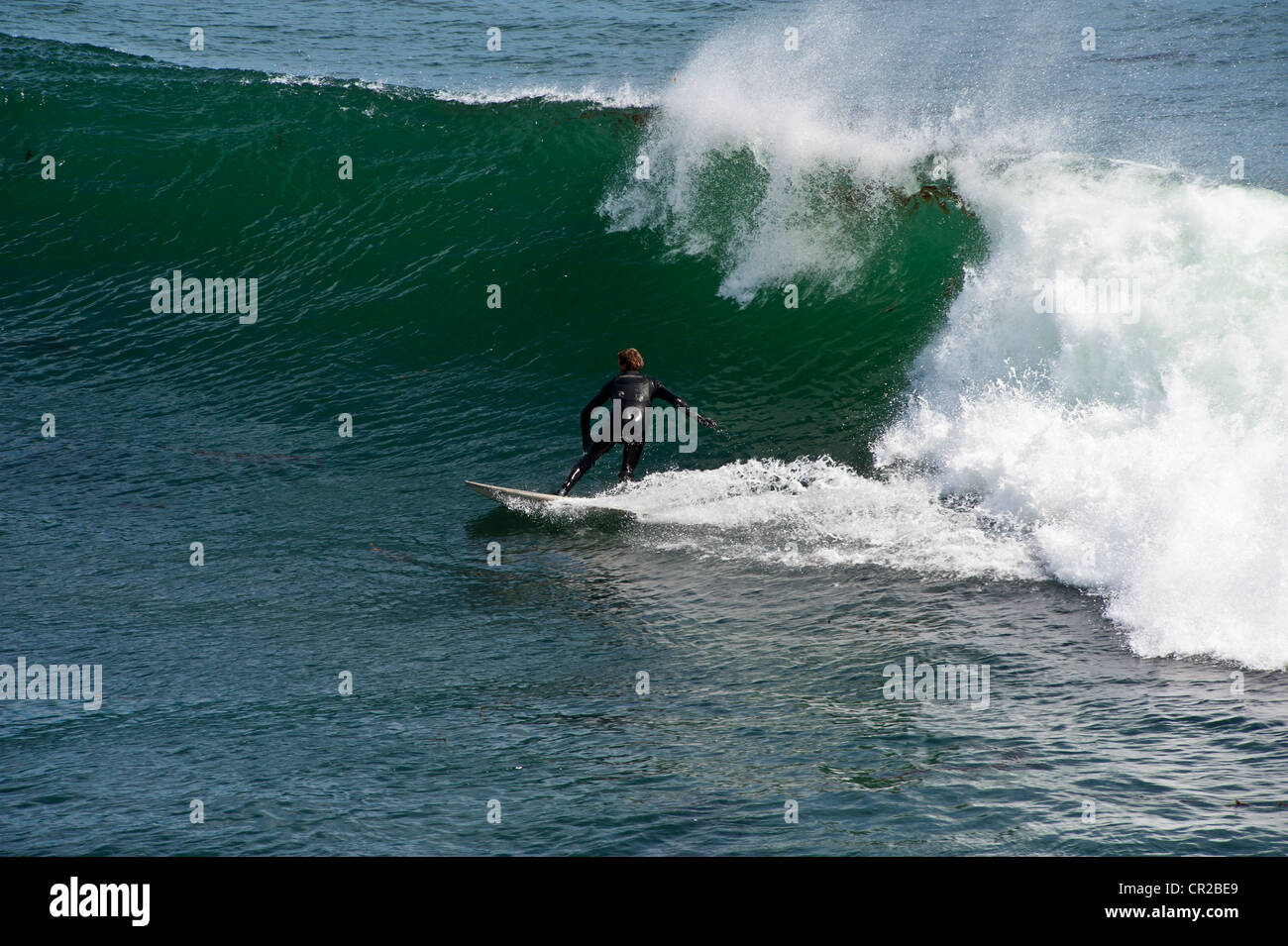 Surfers at Steamers Lane at Santa Cruz, California Stock Photo