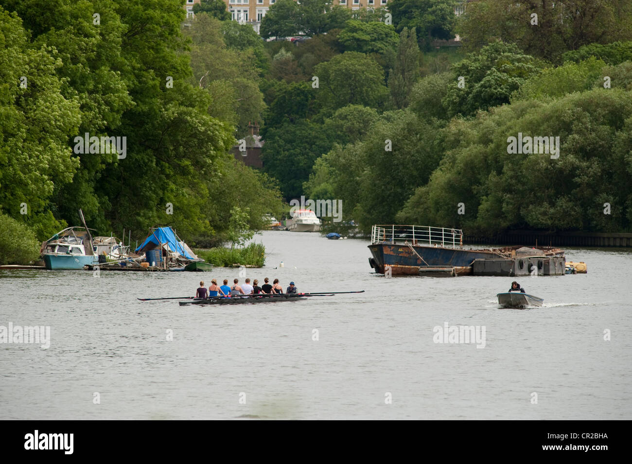 Women rowing team in an eight sterncoxed boat on the river Thames at