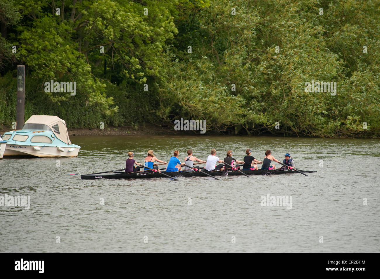 Women rowing team hires stock photography and images Alamy