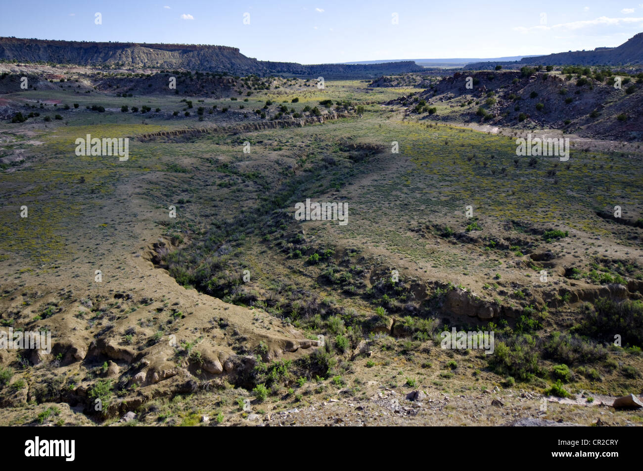 Dry arroyo in the Ojito wilderness, Sandoval county, New Mexico, USA. Stock Photo