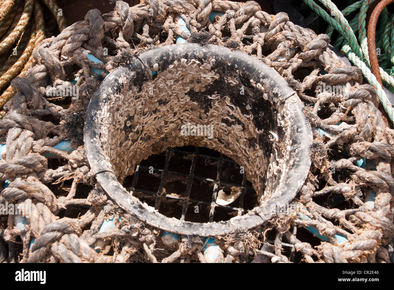 Crab pots, fishing nets, rusty chains and anchors storage area used by