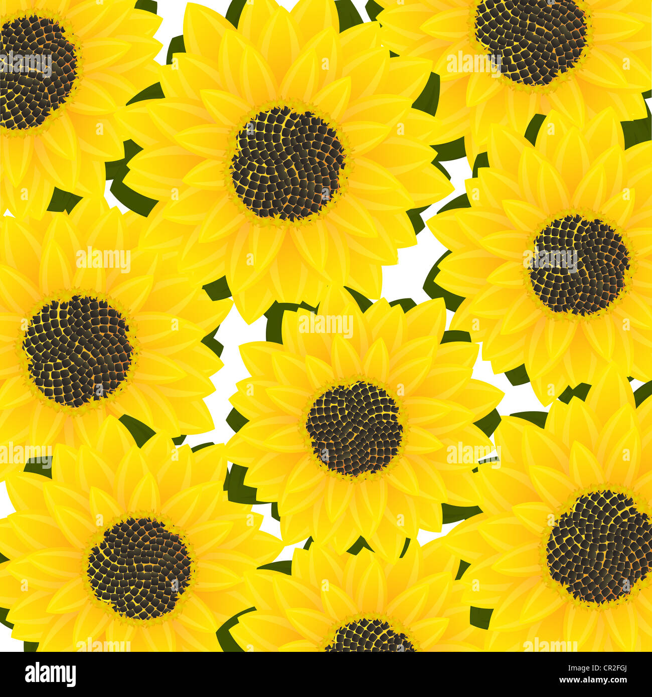 Decorative sunflower card, abstract art illustration Stock Photo - Alamy