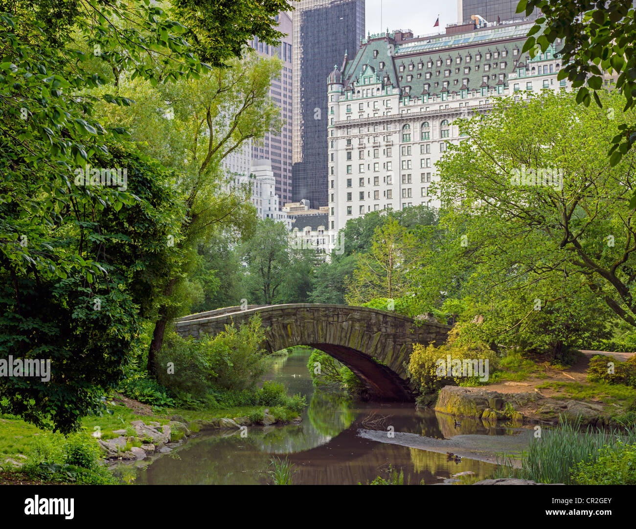 Central Park, New York City Gapstow bridge spring Stock Photo Alamy