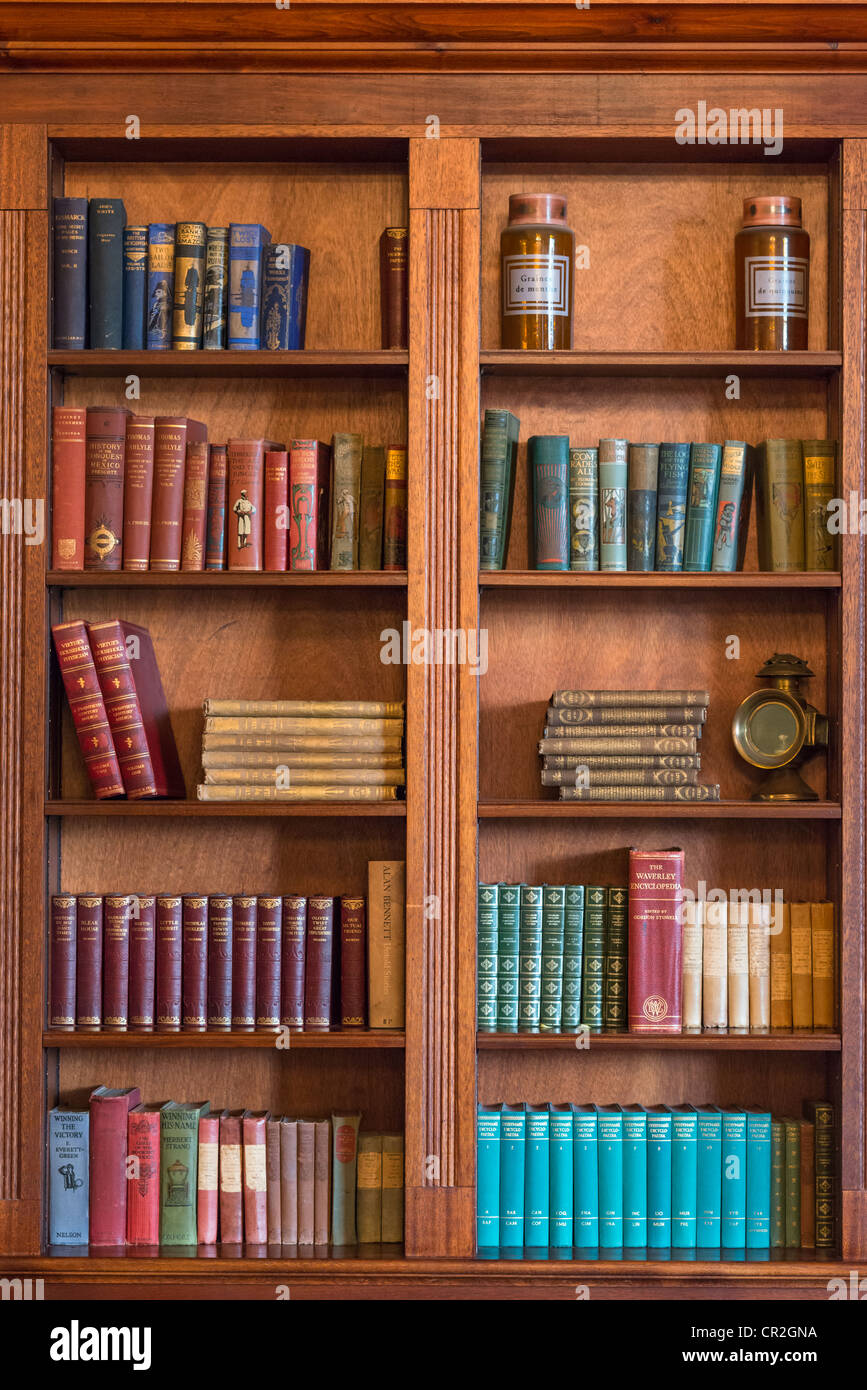 Old character bookcase, UK. Stock Photo