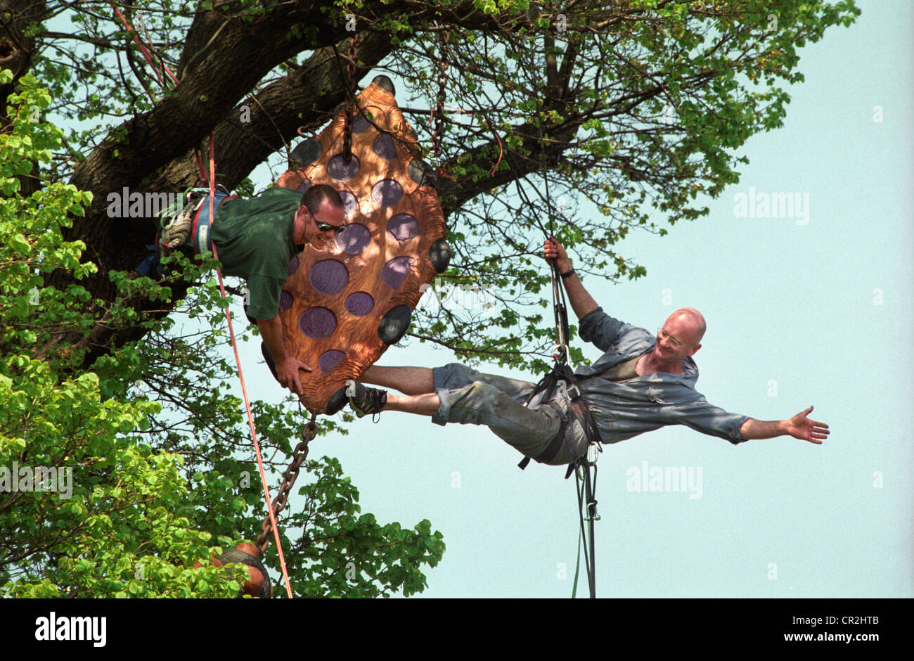 Two abseiling tree surgeons hang from their harnesses while installing a wooden 'Tree Kite' sculpture as part of Brighton festival. Stock Photo