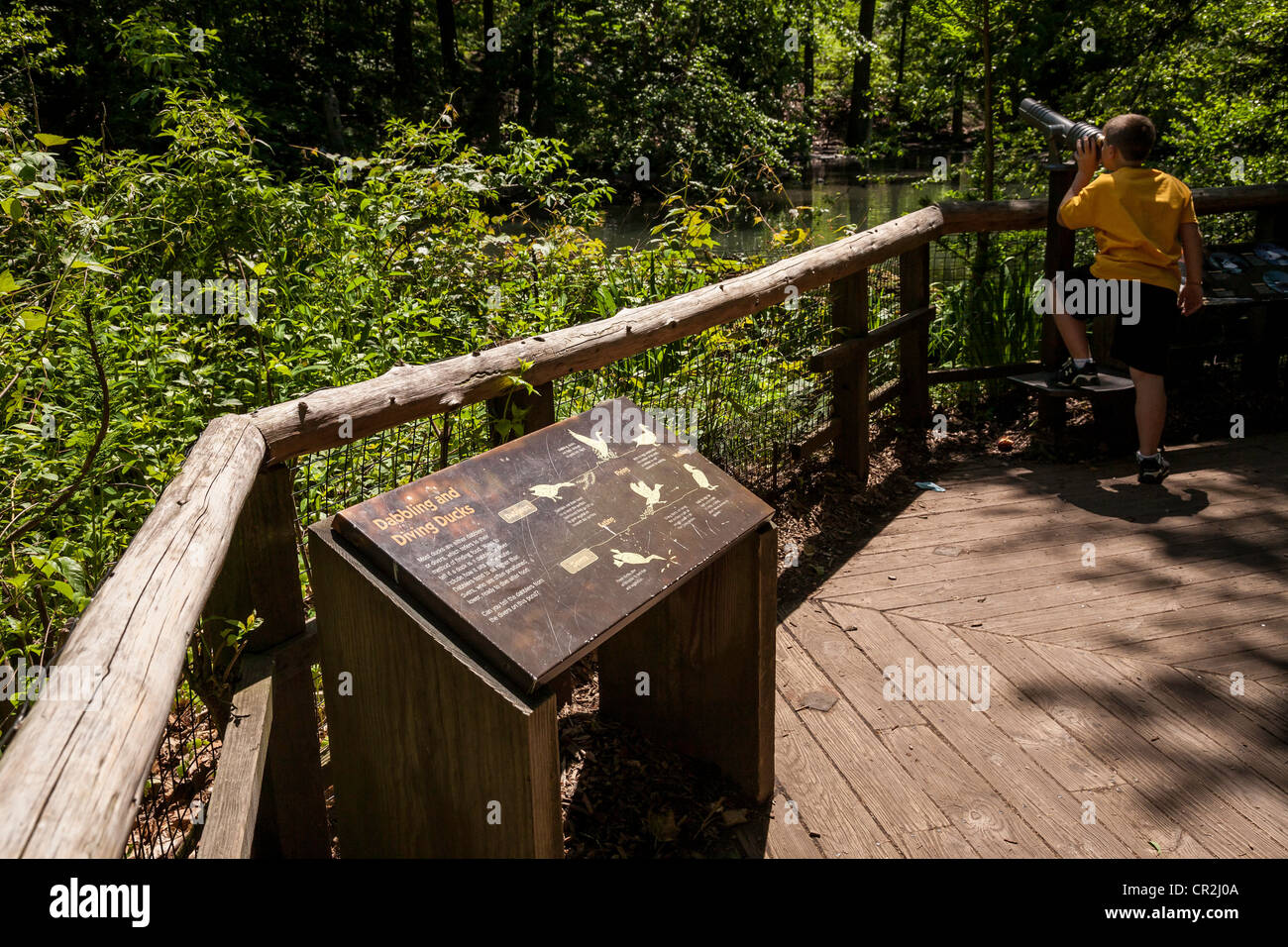The Bronx Zoo, Wildlife Conservation Society, Bronx Park, Bronx, NYC