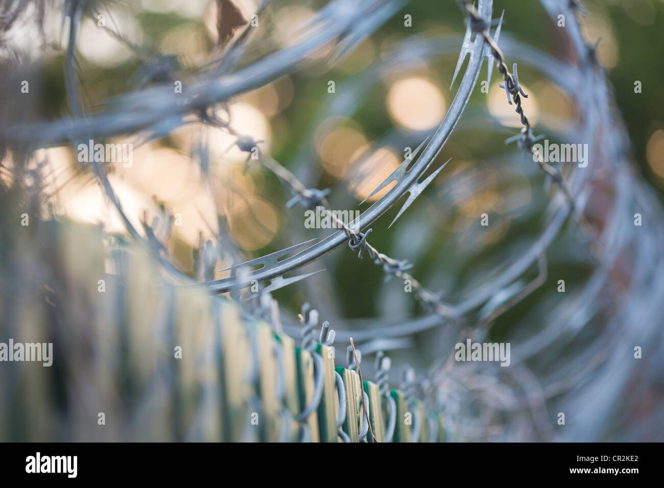 Razor Wire on a chain link fence closeup photo at sunset Stock Photo