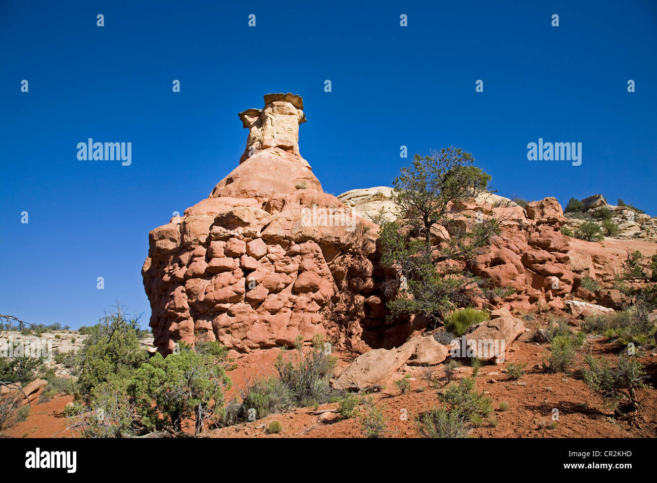 Chicken Rock, one of the many sandstone formations in Sand Canyon, in Canyons of the Ancients, National Monument, Colorado Stock Photo