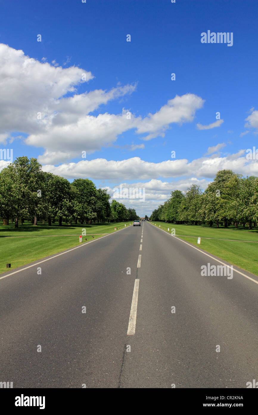 Chestnut Avenue in Bushy Park, the Royal park near to Hampton Court SW London England UK Stock Photo