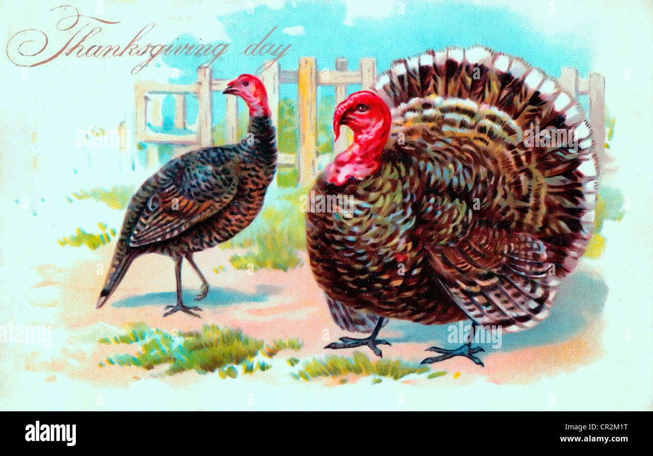 Thanksgiving Day - Vintage card with turkeys Stock Photo