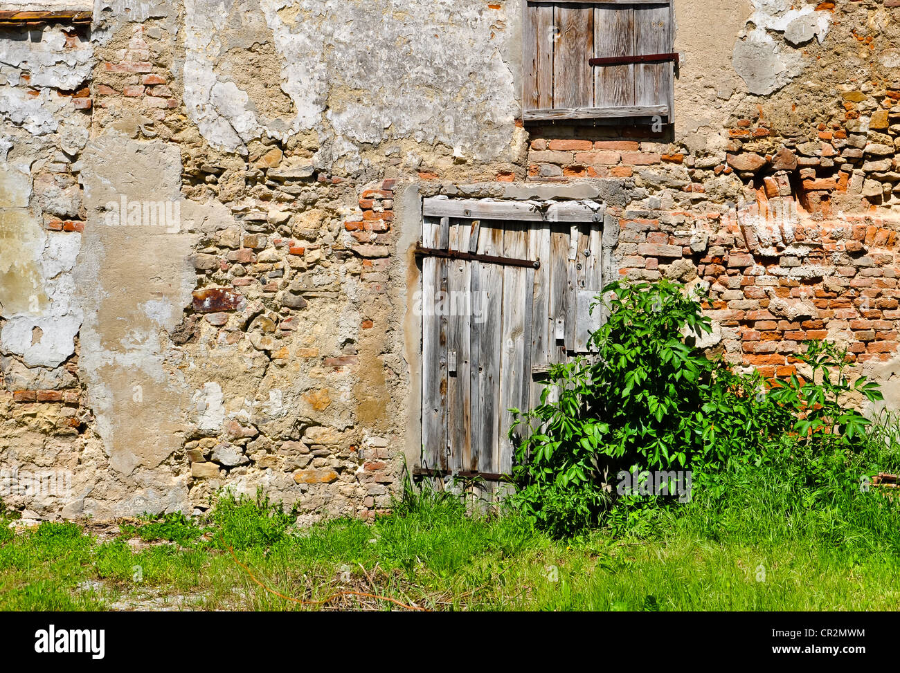 withered wooden door in a brick wall Stock Photo