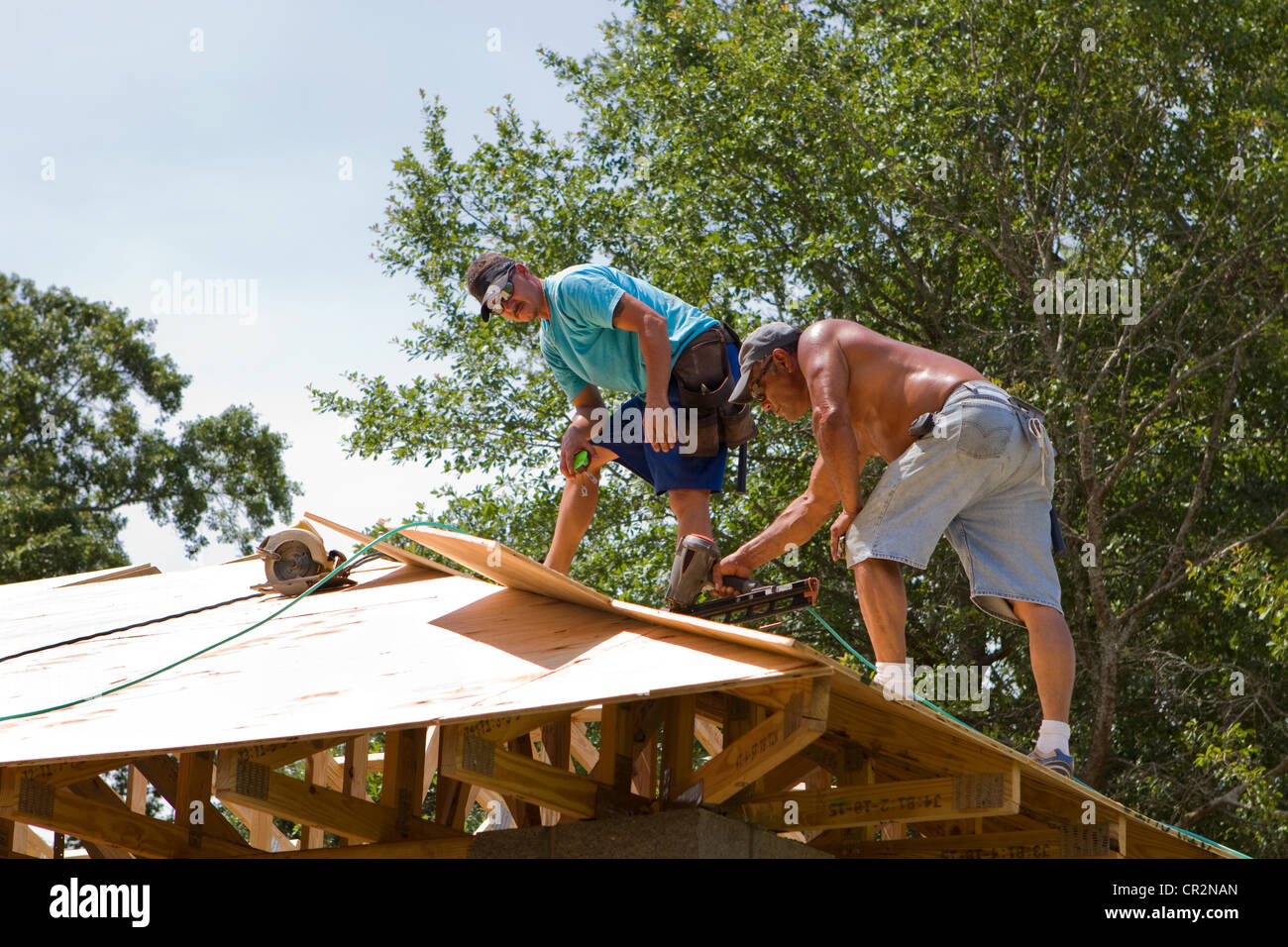Carpenters use a pneumatic nail gun to secure plywood sheathing to the truss rafters of a home. Stock Photo
