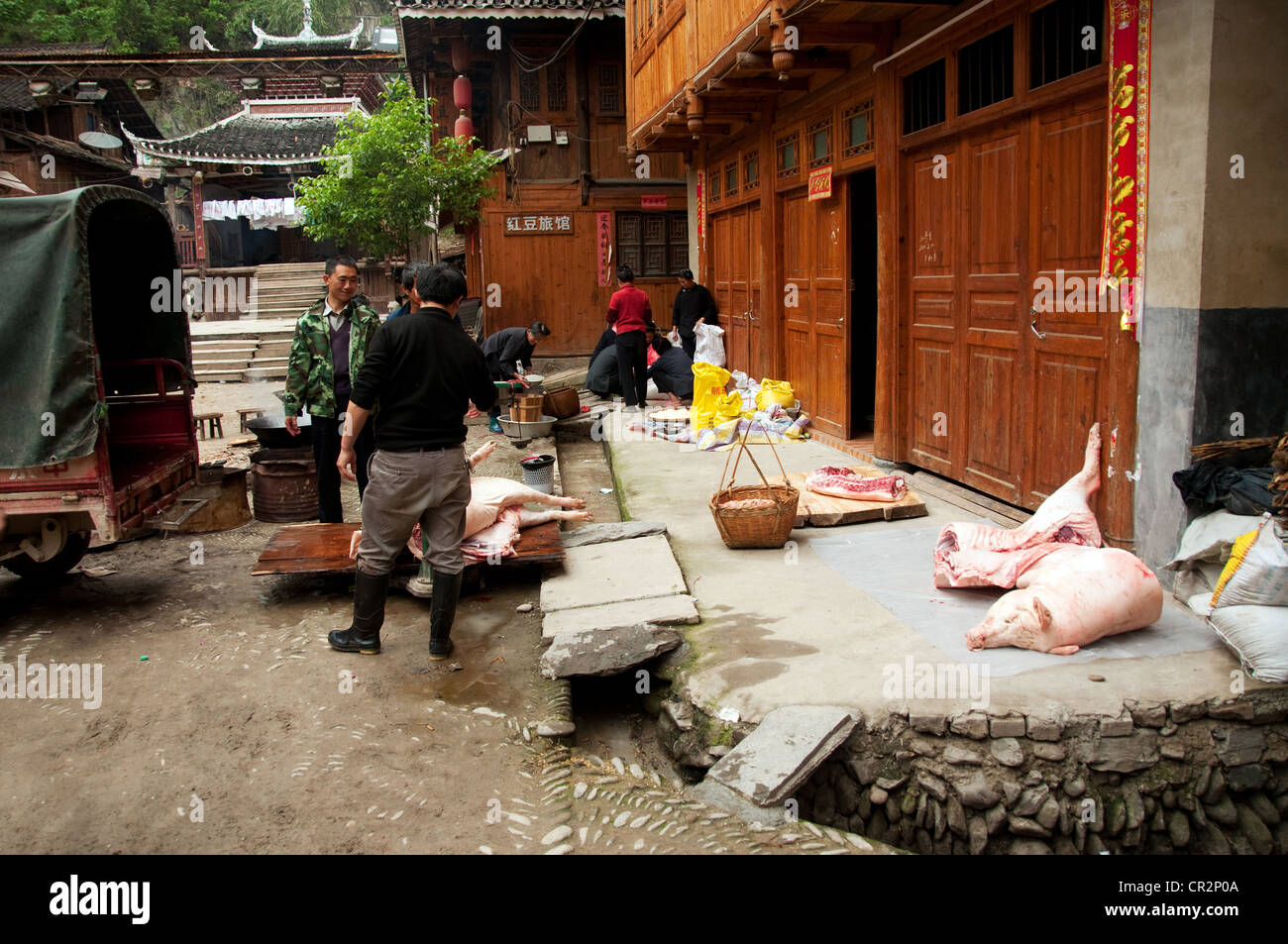 Slaughtering a pig in front of a traditional Dong wooden house, Zhaoxing Dong Village, Southern China Stock Photo