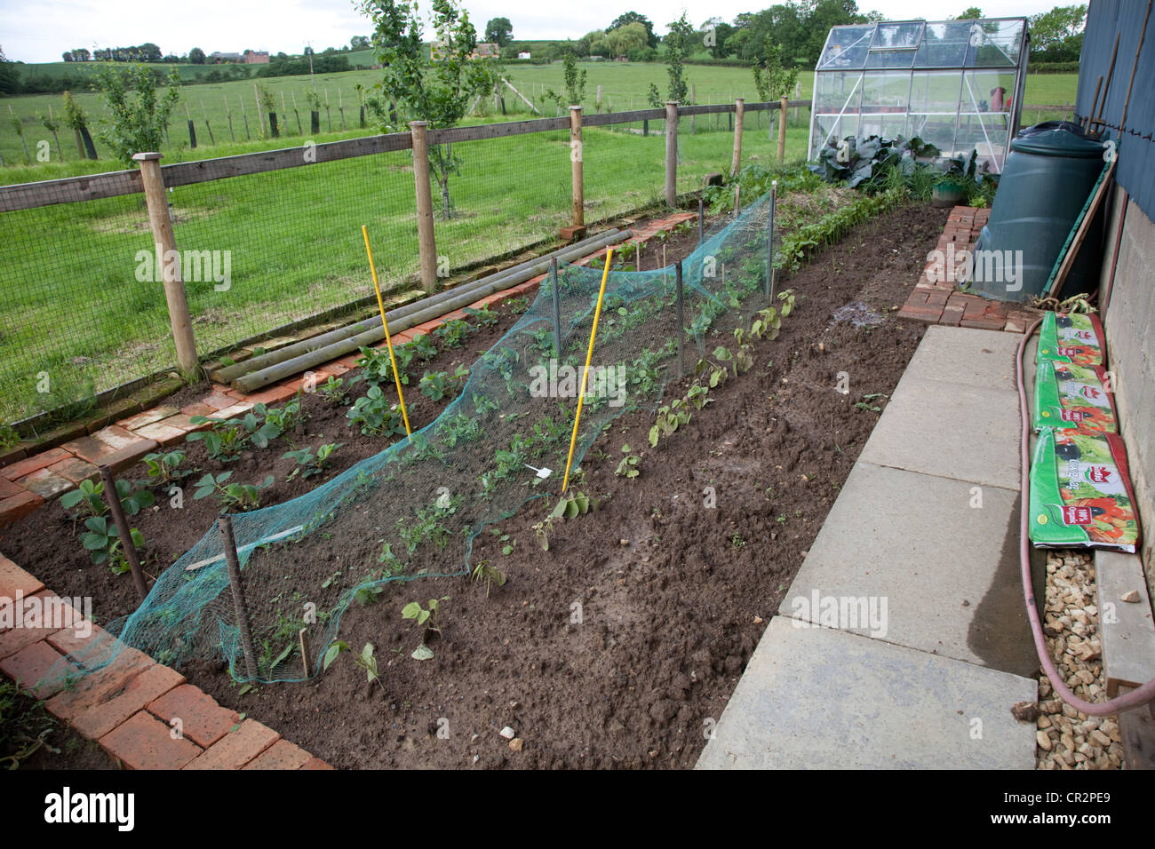 Productive veg patch vegetable garden greenhouse and compost bins