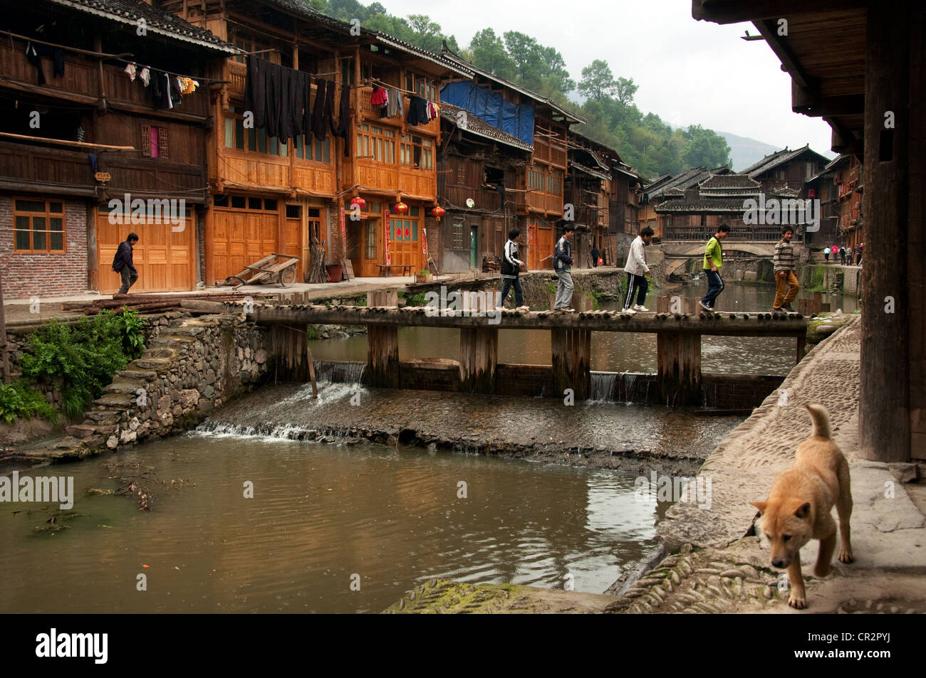 Five people crossing a stream on a small bridge and a Chinese dog, Zhaoxing Dong Village, Southern China Stock Photo