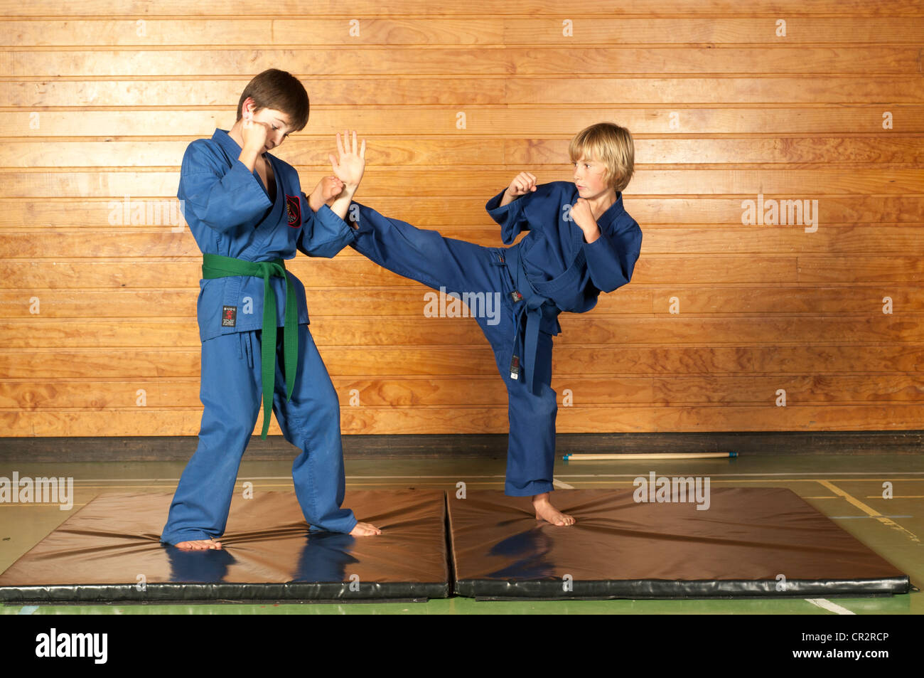 Two young boys Sparring, kiaido Ryu Martial arts Stock Photo Alamy