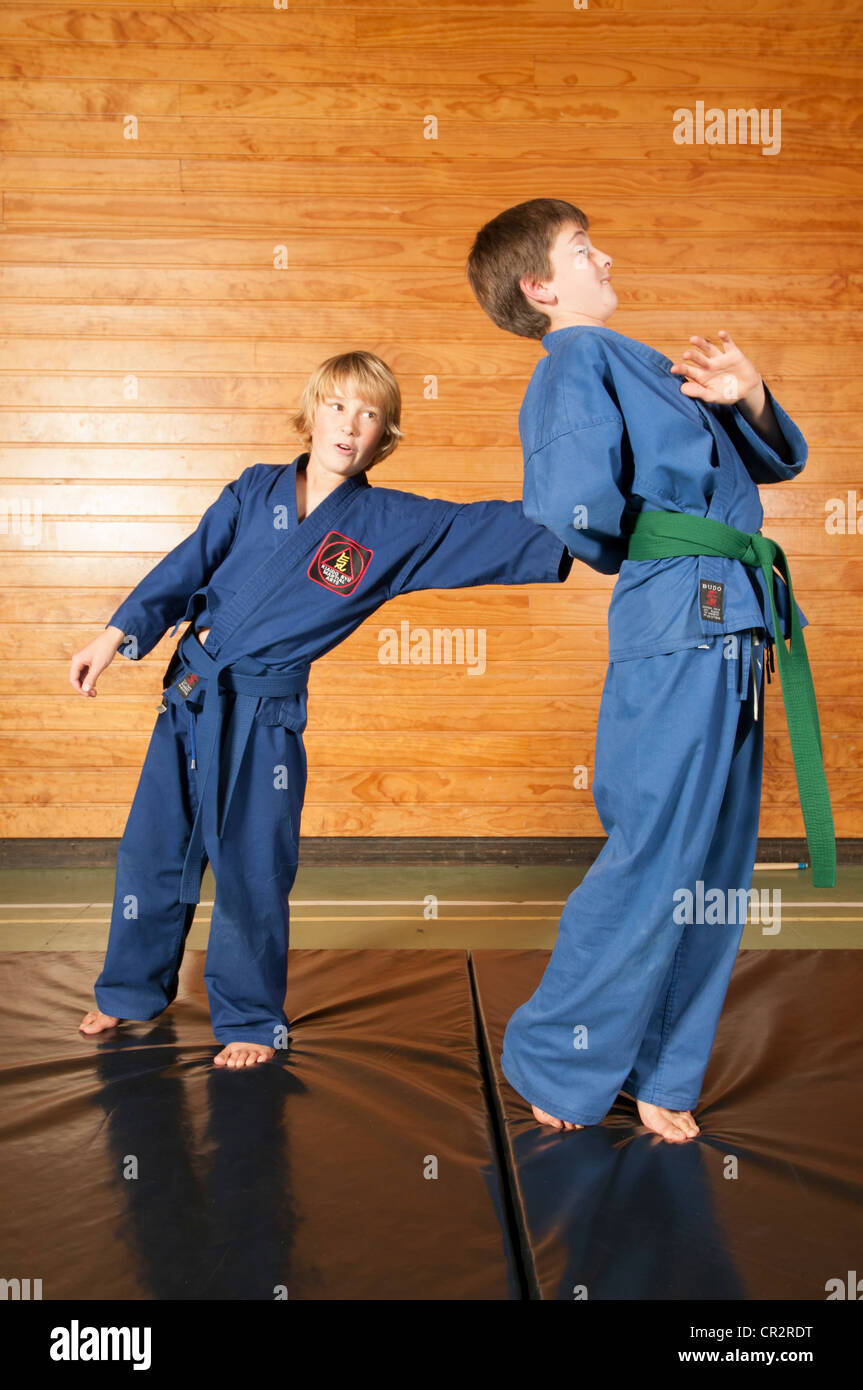 Young boys practice karate hires stock photography and images Alamy