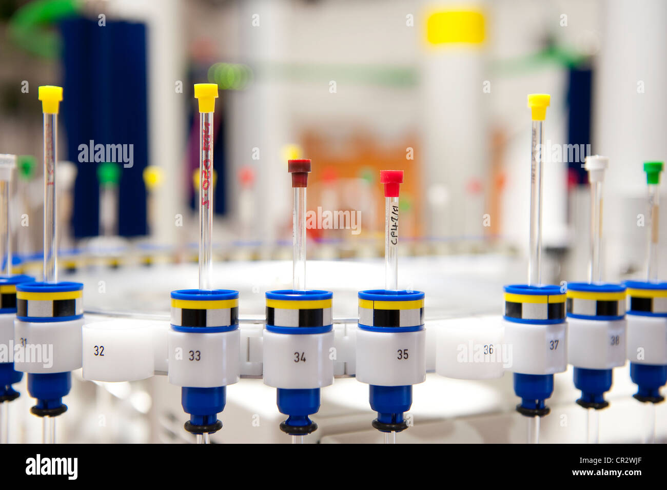 glass test tubes vials in chemistry laboratory Stock Photo Alamy