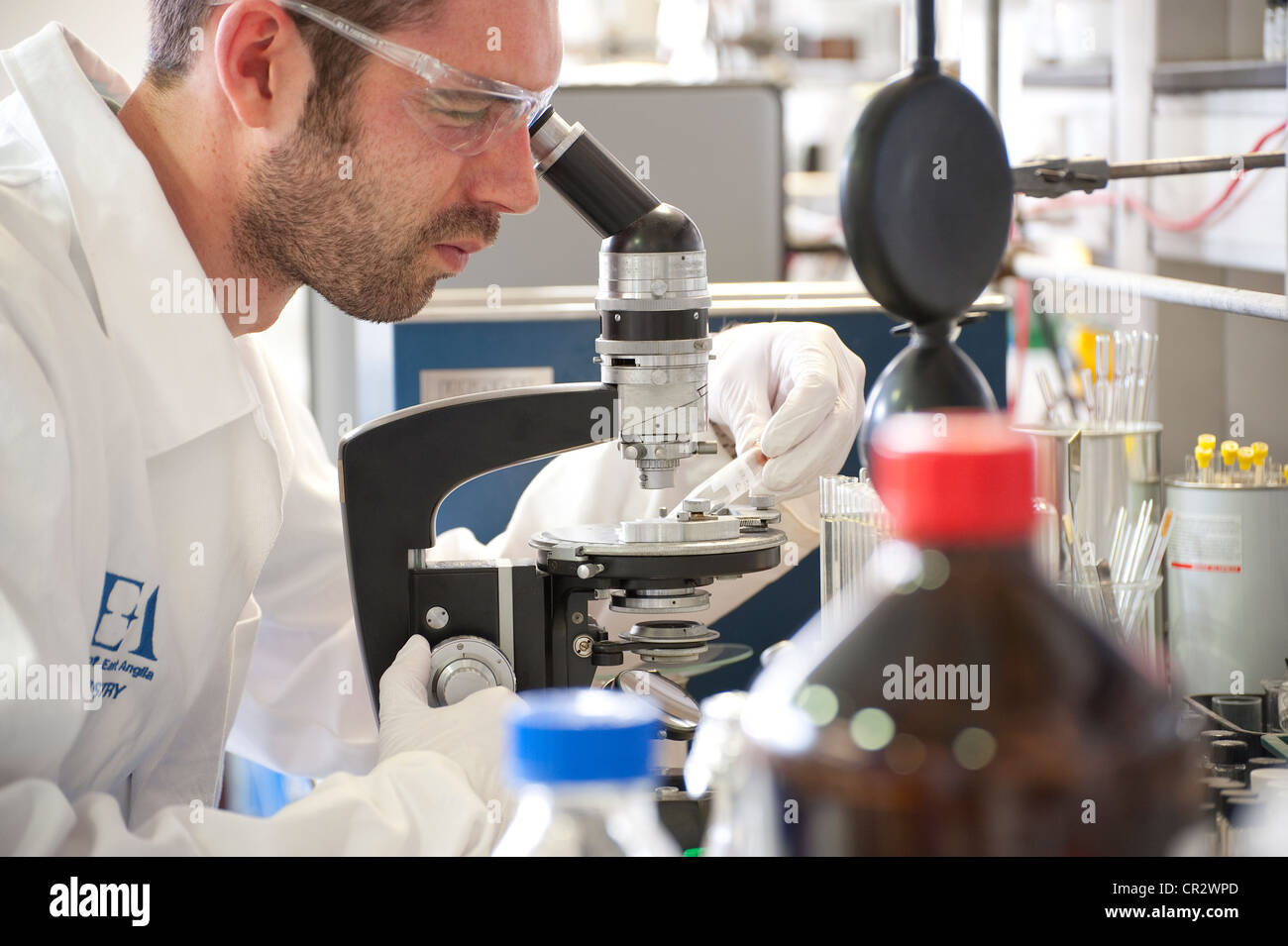 laboratory technician working in lab Stock Photo