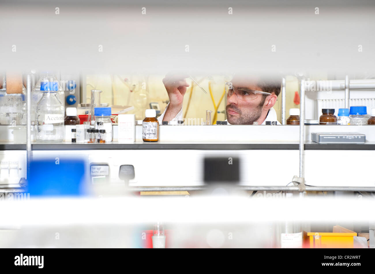 laboratory technician working in lab, norwich, norfolk, england Stock Photo