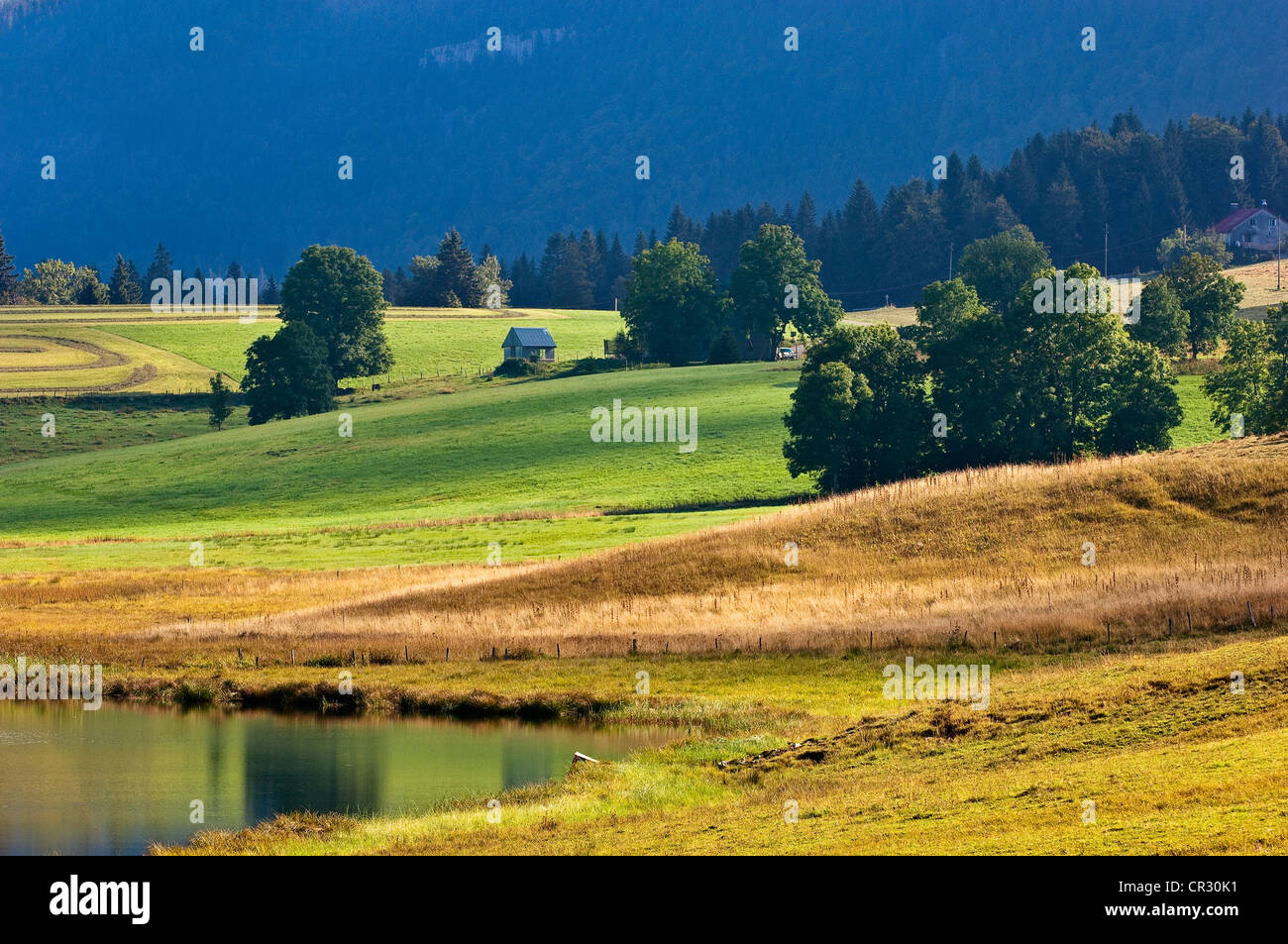 Bellefontaine lake hires stock photography and images Alamy