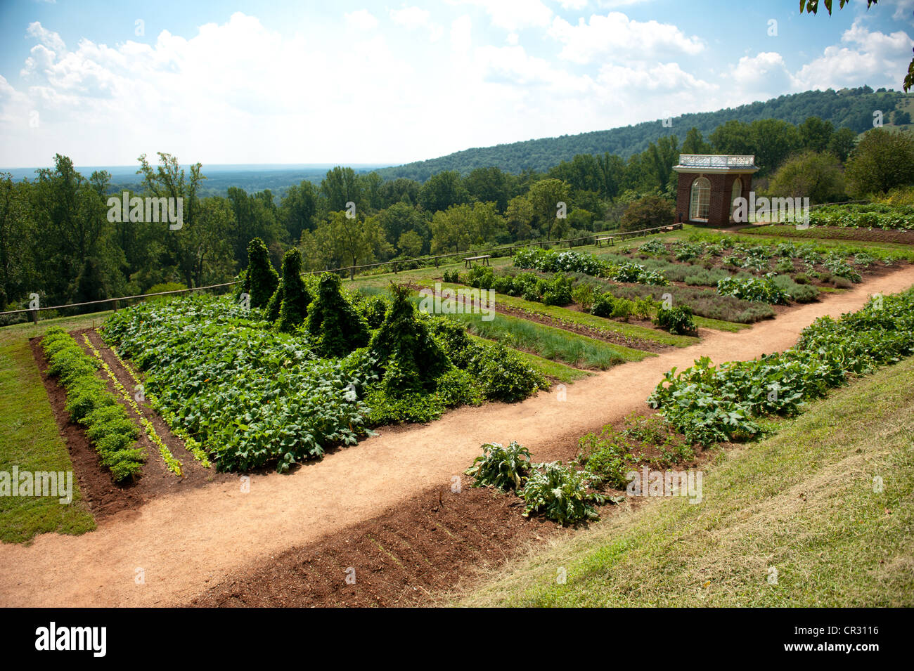 Rows of plants in gardens of Thomas Jefferson's Monticello in Charlottesville VA Stock Photo