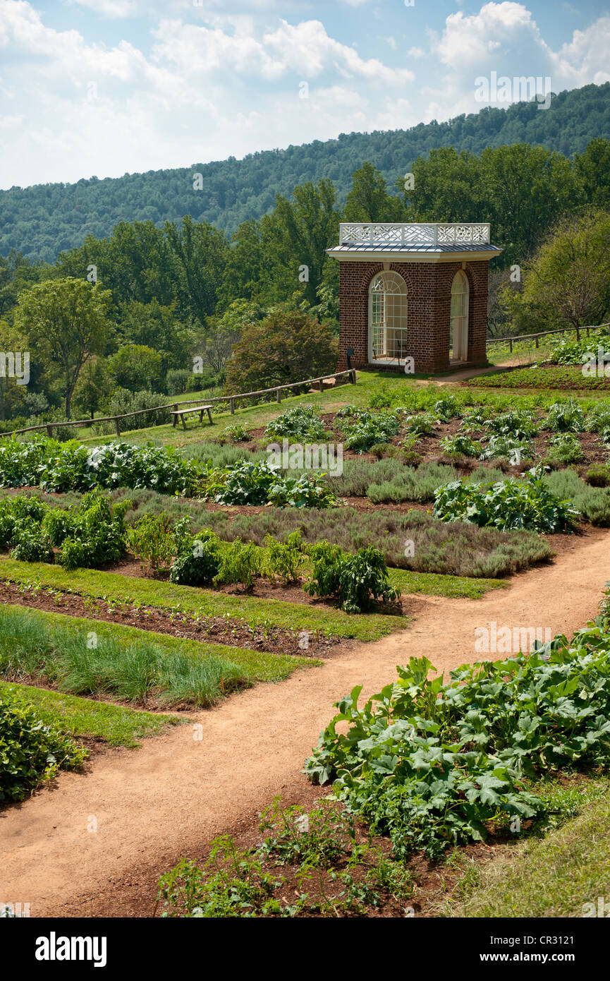 Rows of plants in gardens of Thomas Jefferson's Monticello in