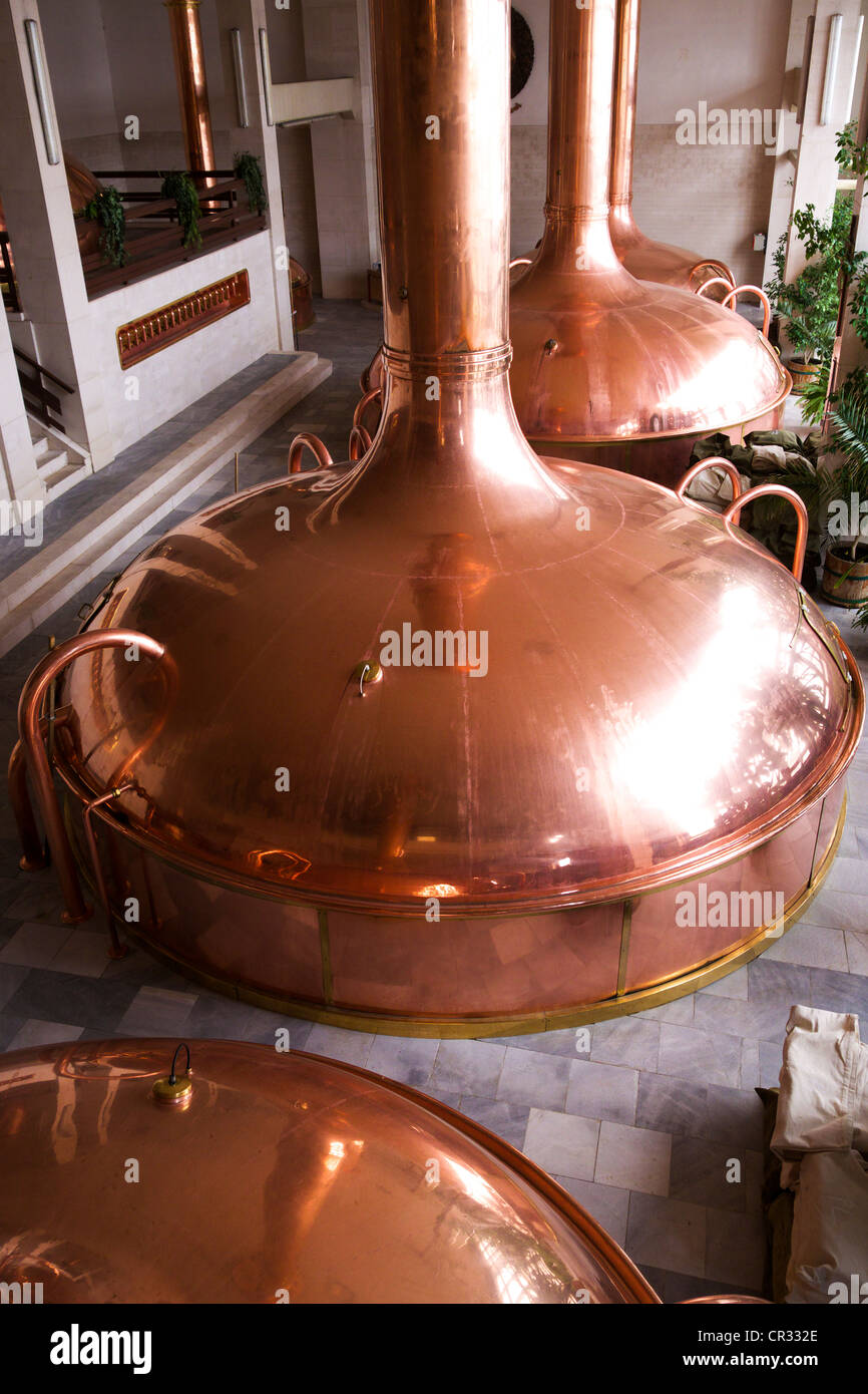 Copper boiler at the Budweiser brewery in Ceske Budejovice, Budweis, Budvar, Bohemia, Czech Republic, Europe Stock Photo
