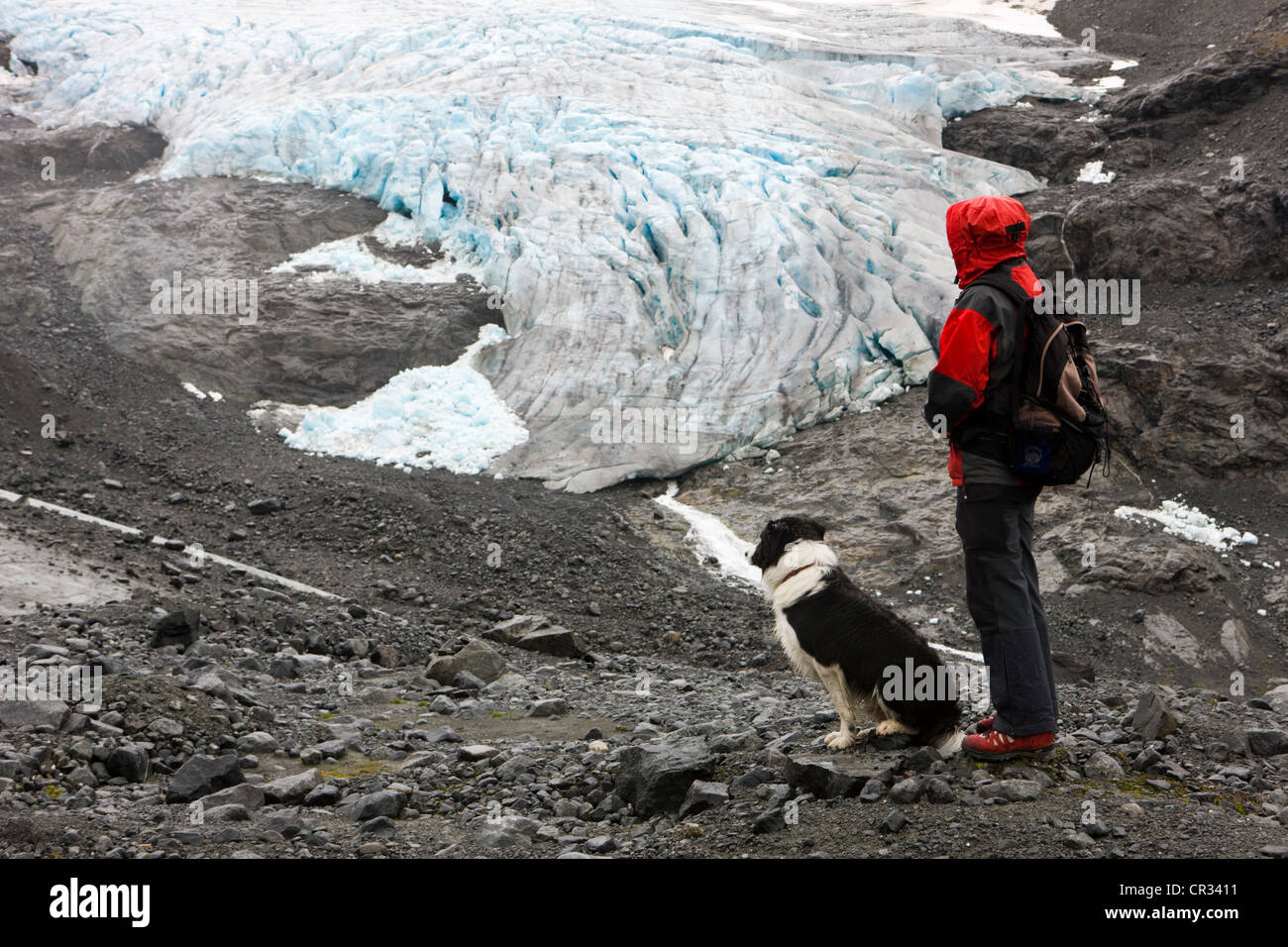 Hiker with a Border Collie looking at a glacier tounge, Norway, Scandinavia, Europe Stock Photo