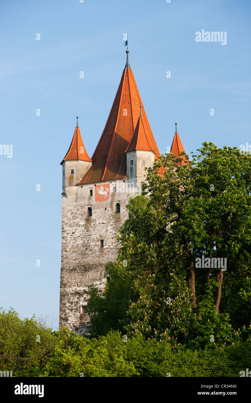 Castle of Haag, Upper Bavaria, Bavaria, Germany, Europe Stock Photo