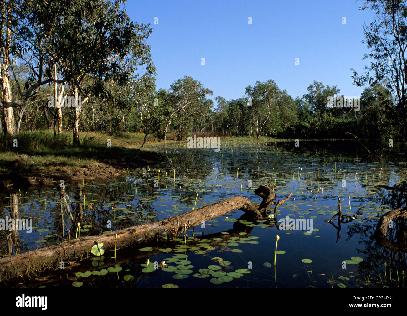 Billabong australia hi-res stock photography and images - Alamy