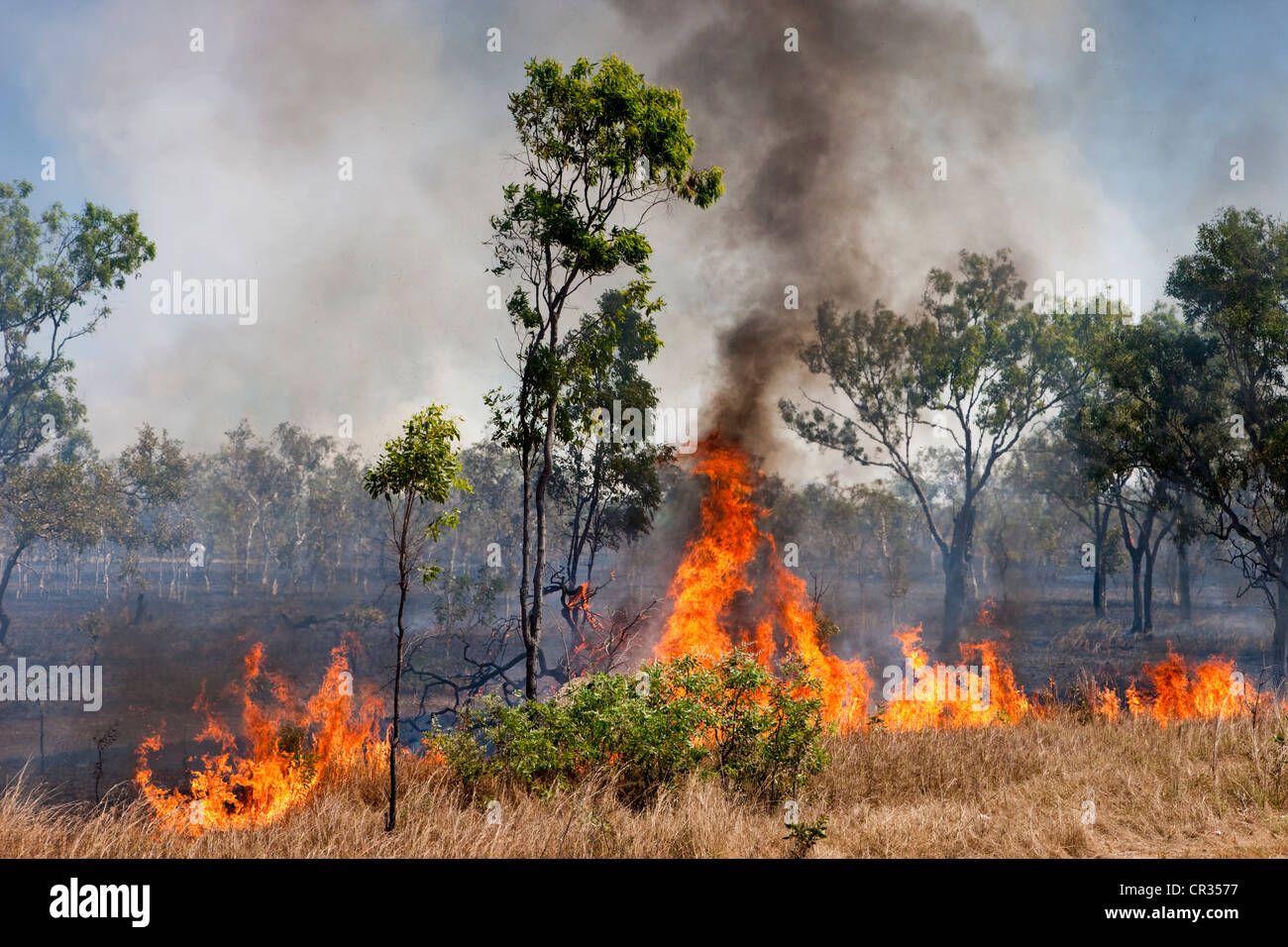 Bushfires, Northern Territory, Australia Stock Photo