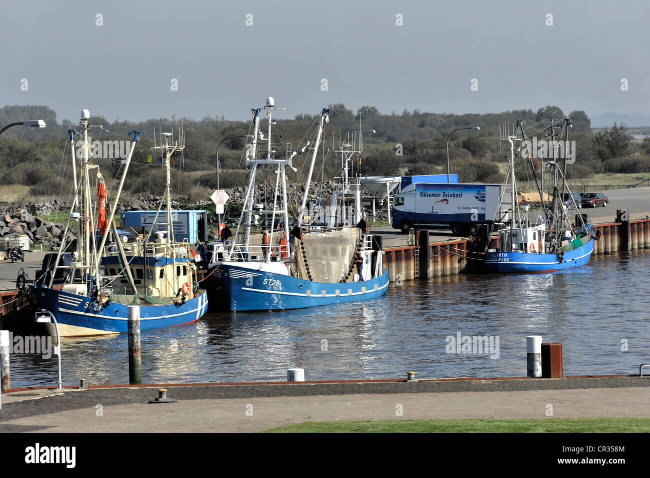 Shrimp cutters, port, Eidersperrwerk, Eider Barrage, construction began in 1967, near Toenning, Schleswig-Holstein Stock Photo
