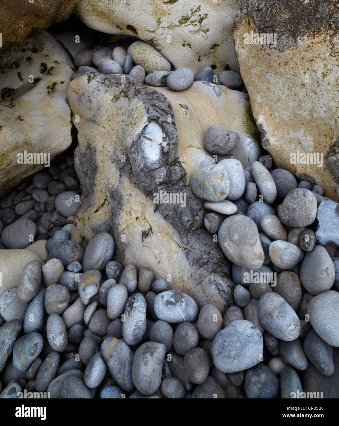 A study of the shoreline at St Aldhelm's Head on  the Jurassic Coast of Dorset Stock Photo
