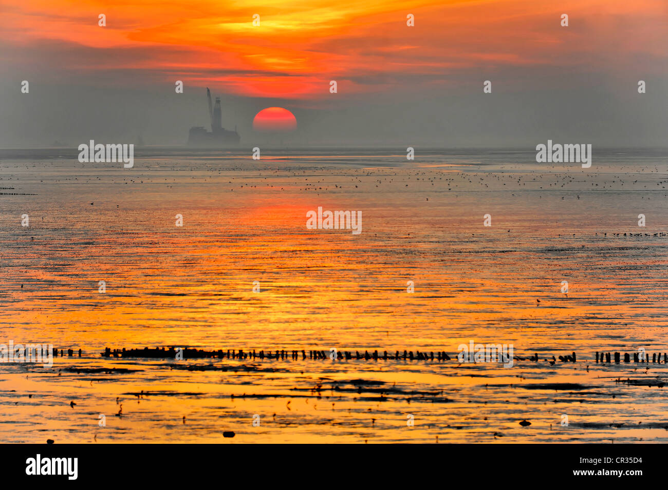 Sunset at the North Sea, Friedrichskoog, Schleswig-Holstein, Germany, Europe Stock Photo