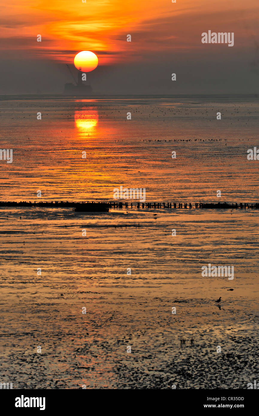 Sunset at the North Sea, Friedrichskoog, Schleswig-Holstein, Germany, Europe Stock Photo