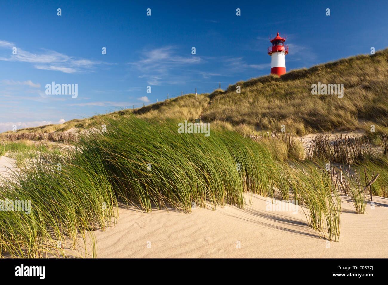 Red and white striped lighthouse of List Ost on the Sylt peninsula of Ellenbogen, viewed from the beach, List, Sylt Stock Photo