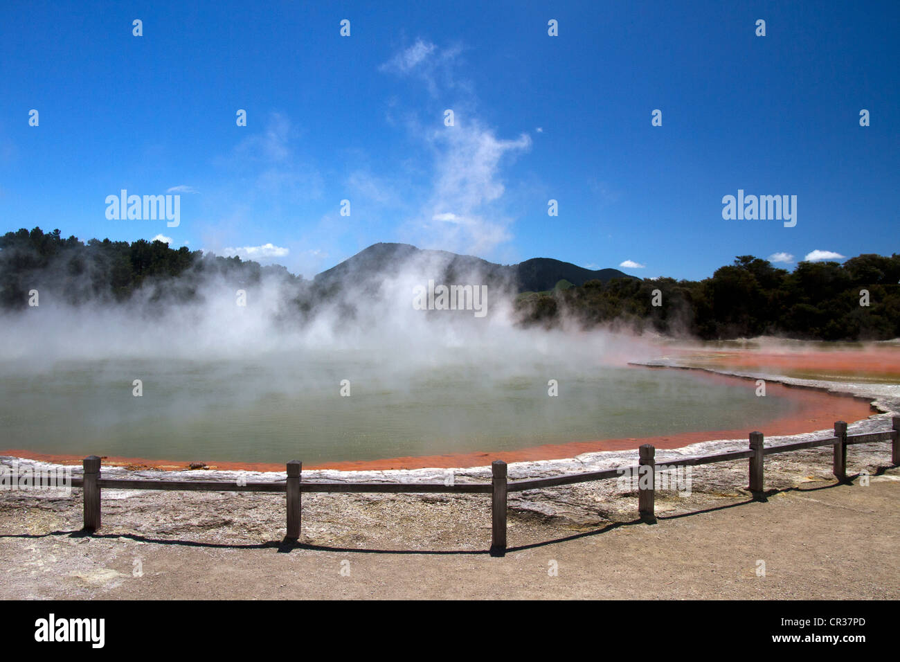 champagne-pool-new-zealand