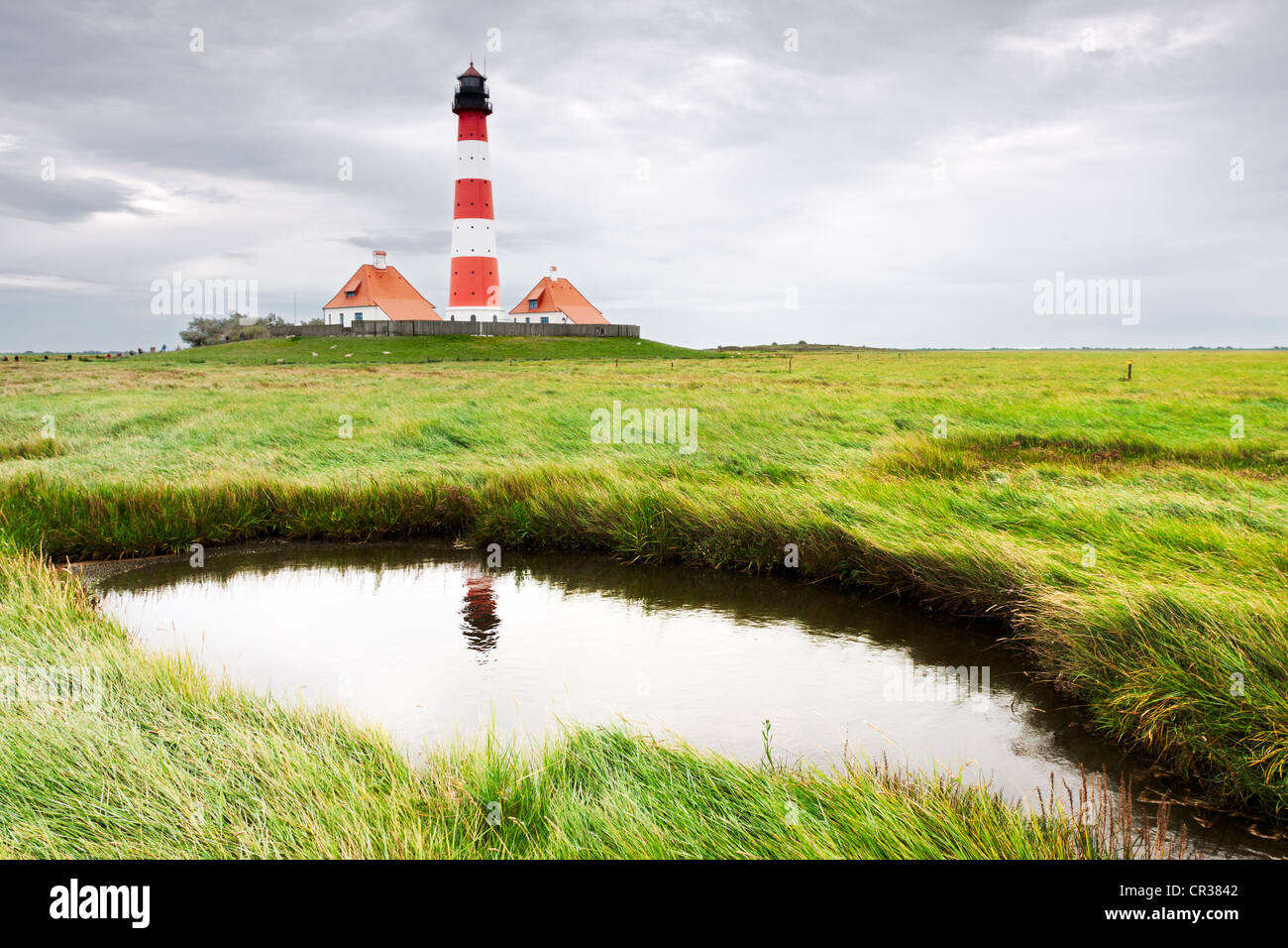 Westerheversand Lighthouse amid the salt marshes with its reflection in a tidal creek, North Frisia, Schleswig-Holstein Stock Photo