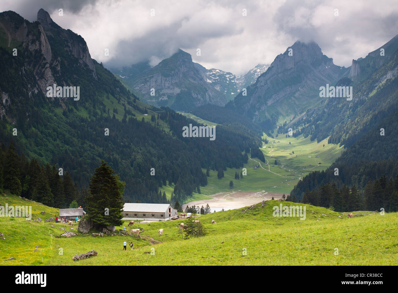 Farm on the Soll alp, mountain pasture, in the Alpstein area with views towards Saemtisersee Lake and Mt Widderalpstoeck, Stock Photo