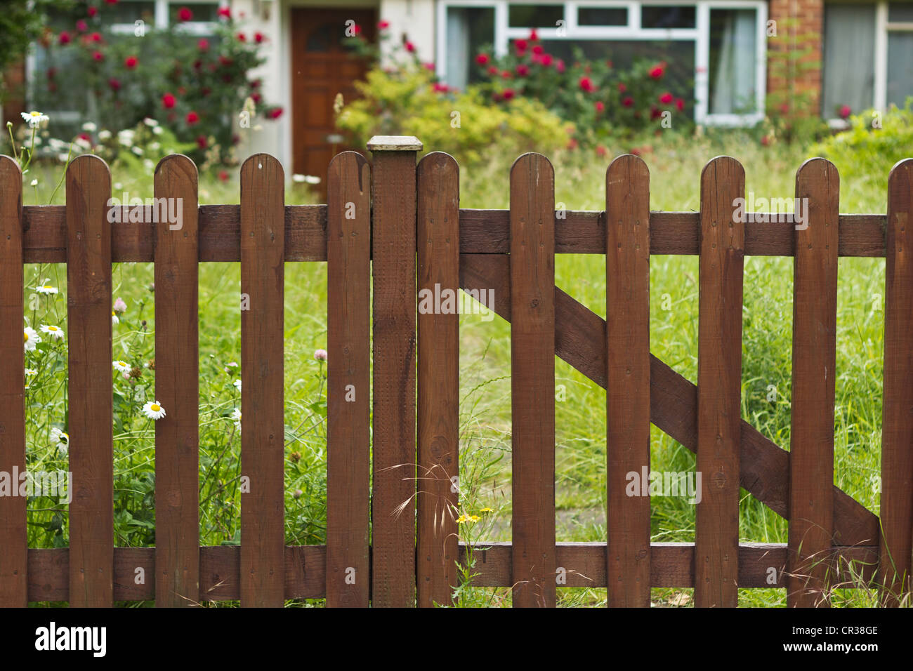 Overgrown front garden and new wooden fence Stock Photo - Alamy