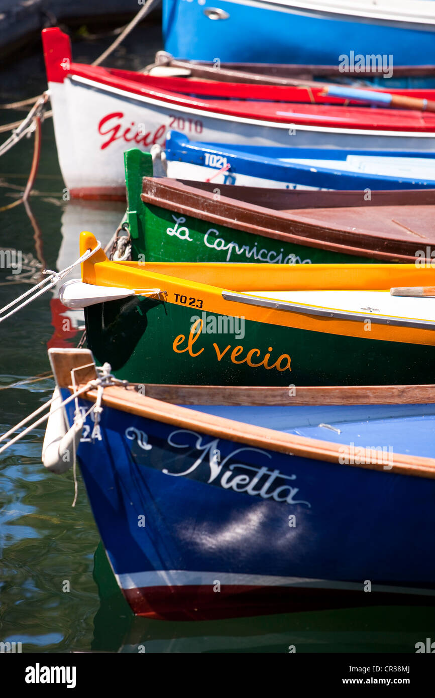 Italy, Veneto, Lake Garda, Torri del Benaco, boat fishermen Stock Photo