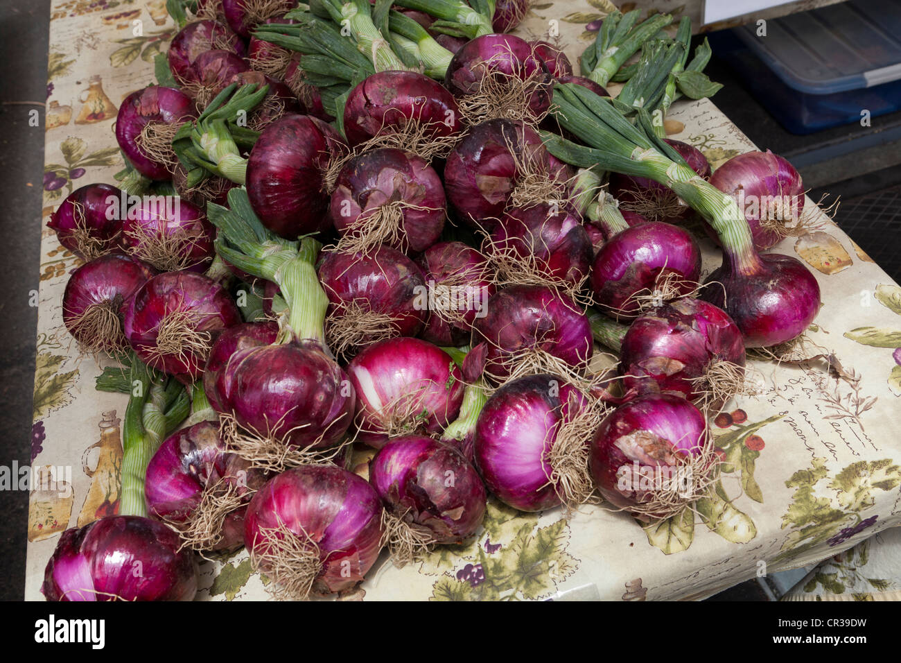 Red onions with stem at local farmers market Stockton, California USA